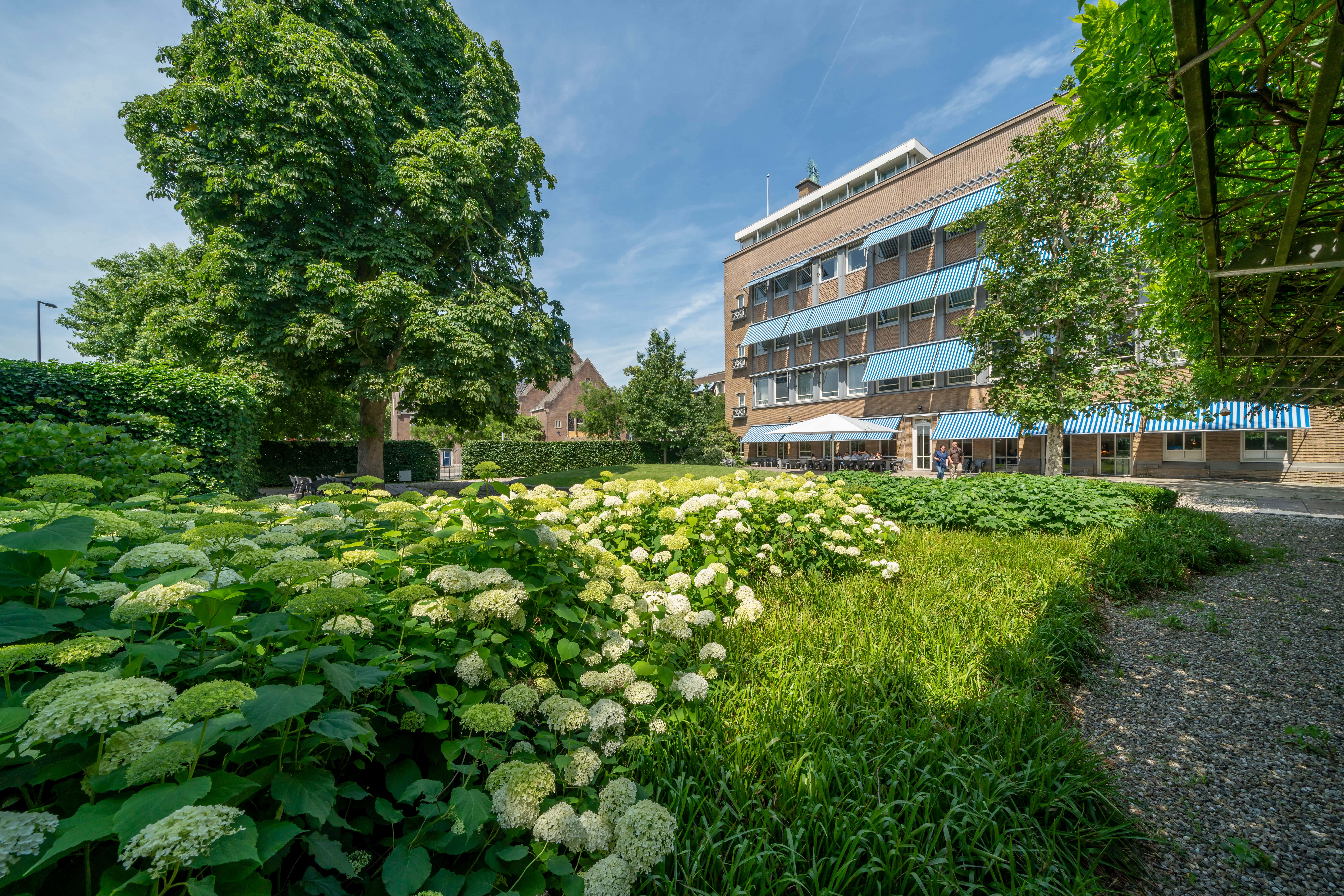 Oogziekenhuis Rotterdam